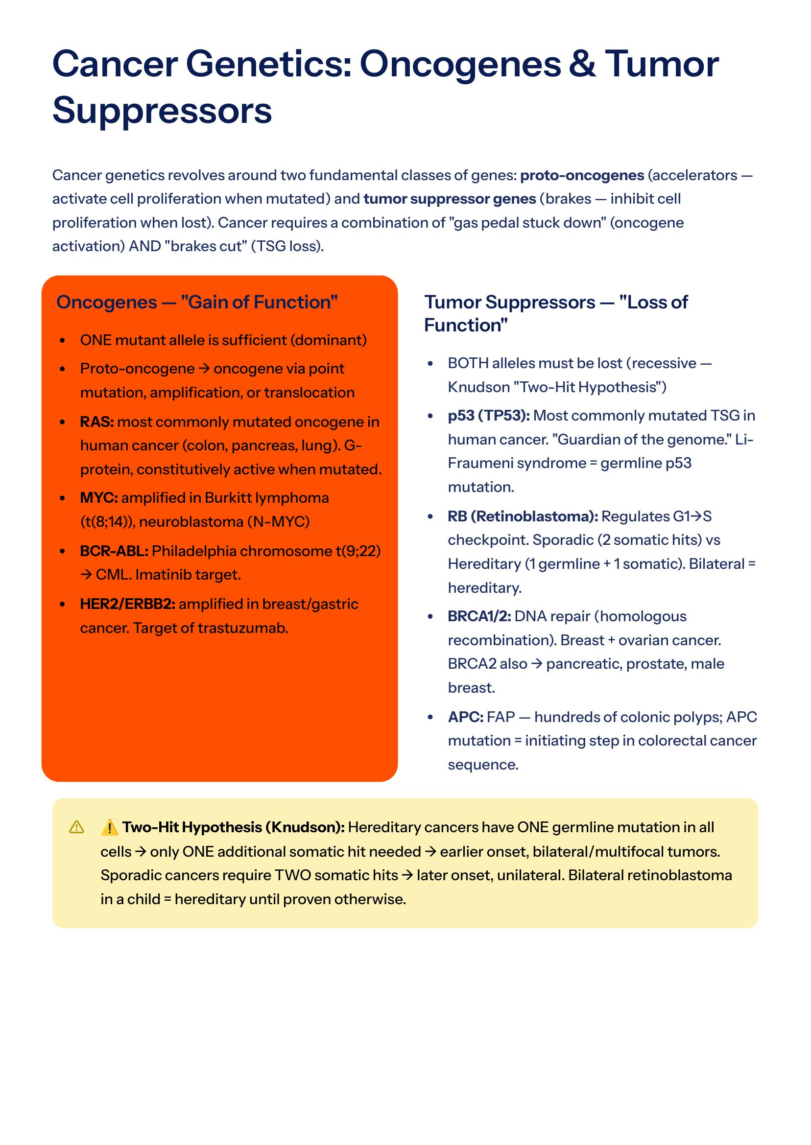 Genetics — Oncogenes & Tumor Suppressors