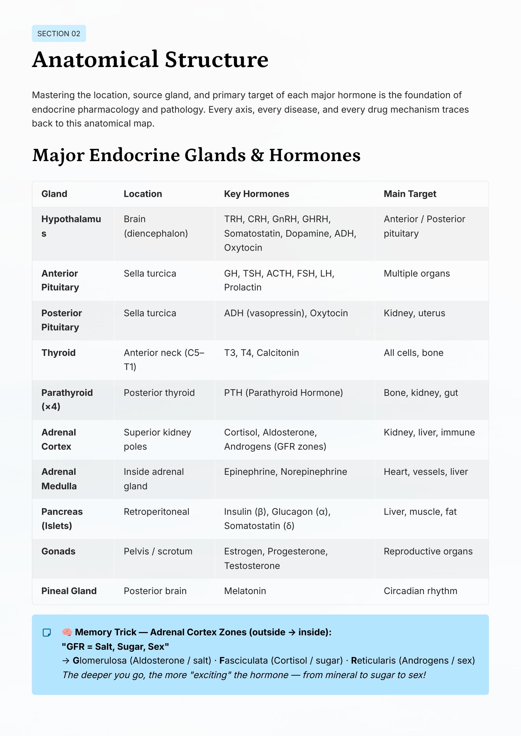 Endocrine — Glands & Hormones